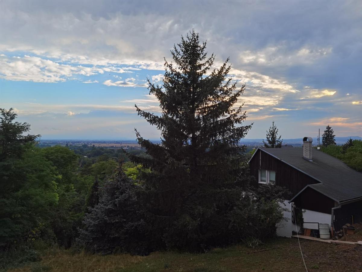Апартаменты Sunset House Piestany Cervena Veza Banka Экстерьер фото